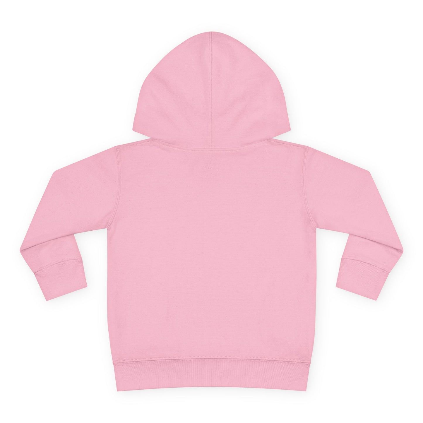 BRUH I’m A Raiders Preschooler Toddler Hoodie