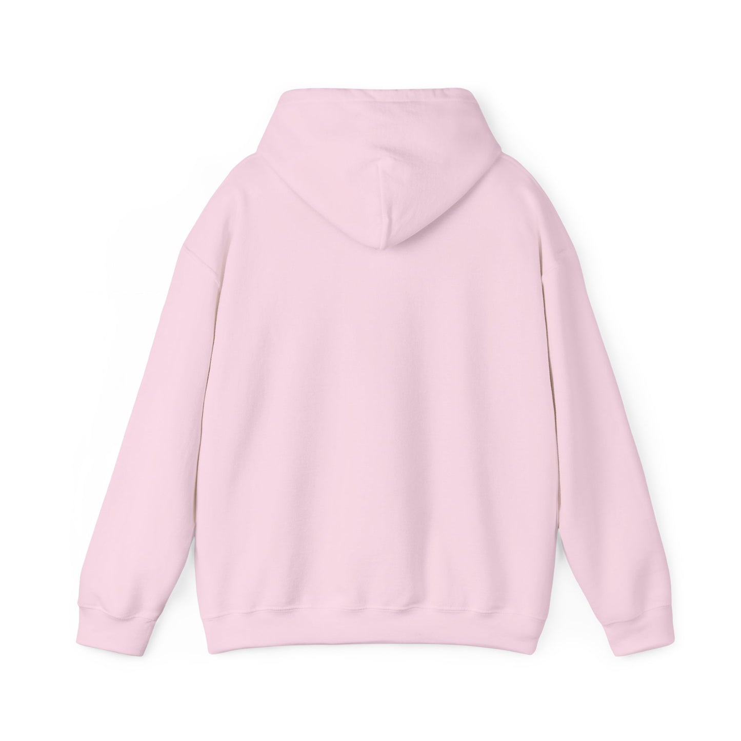Mt. Abraham High Senior Class Trip Hoodie – Paris or Bust (…Mostly Bust)
