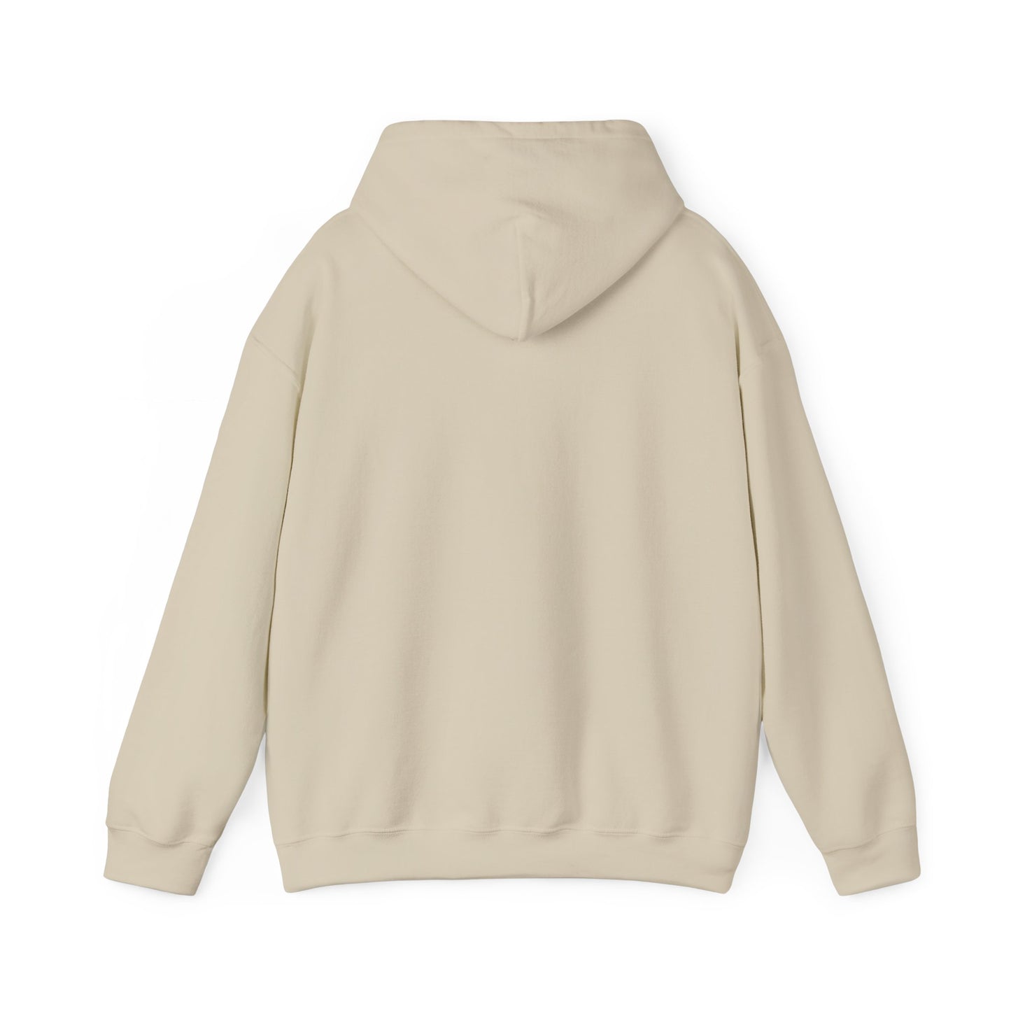 Mt. Abraham High Senior Class Trip Hoodie – Paris or Bust (…Mostly Bust)