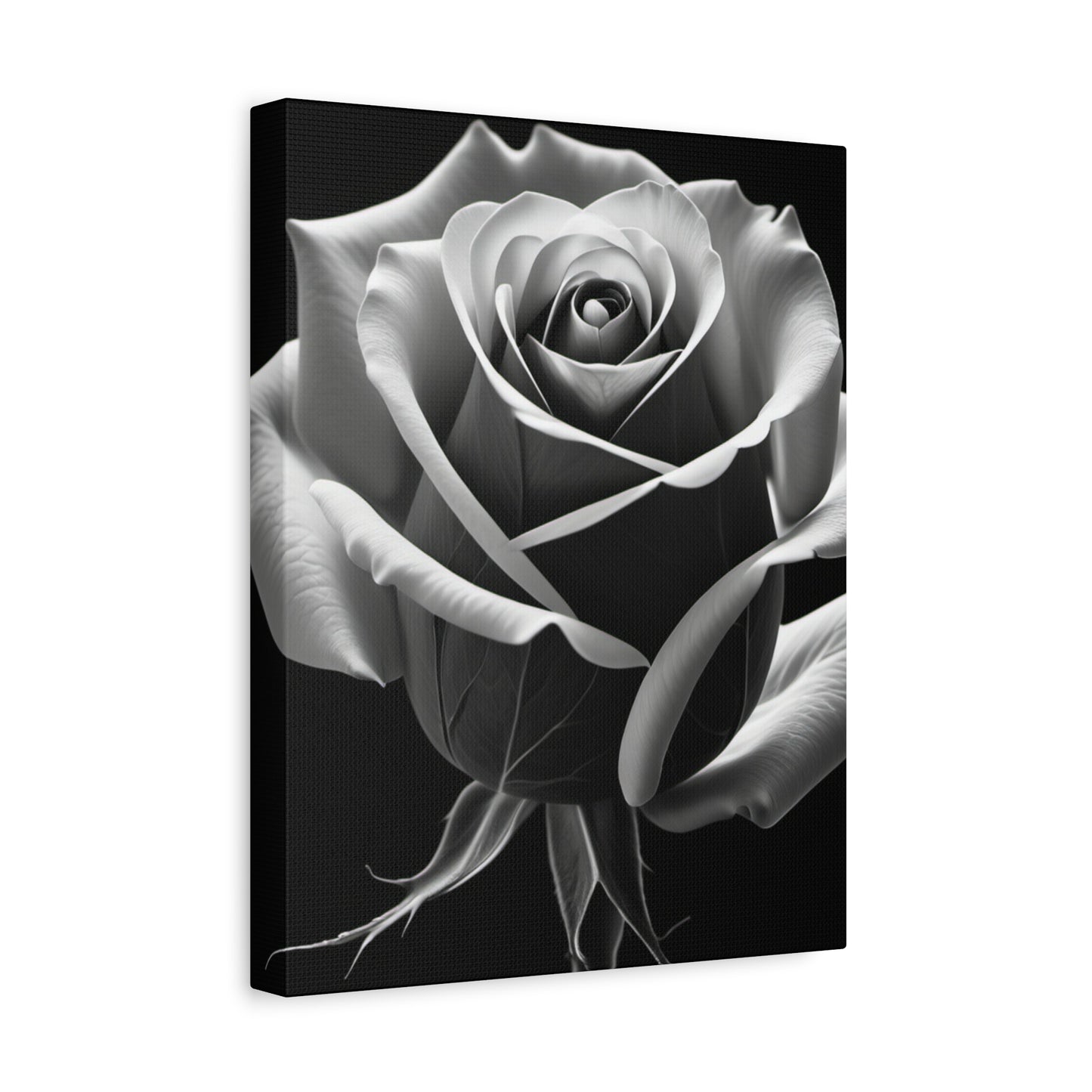 Elegant Black and White Rose Canvas Art