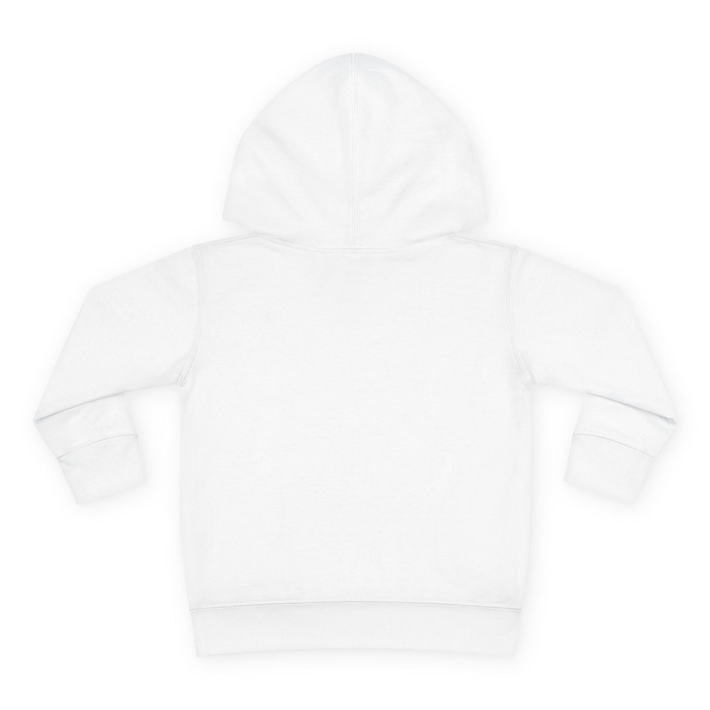 BRUH I’m A Raiders Preschooler Toddler Hoodie