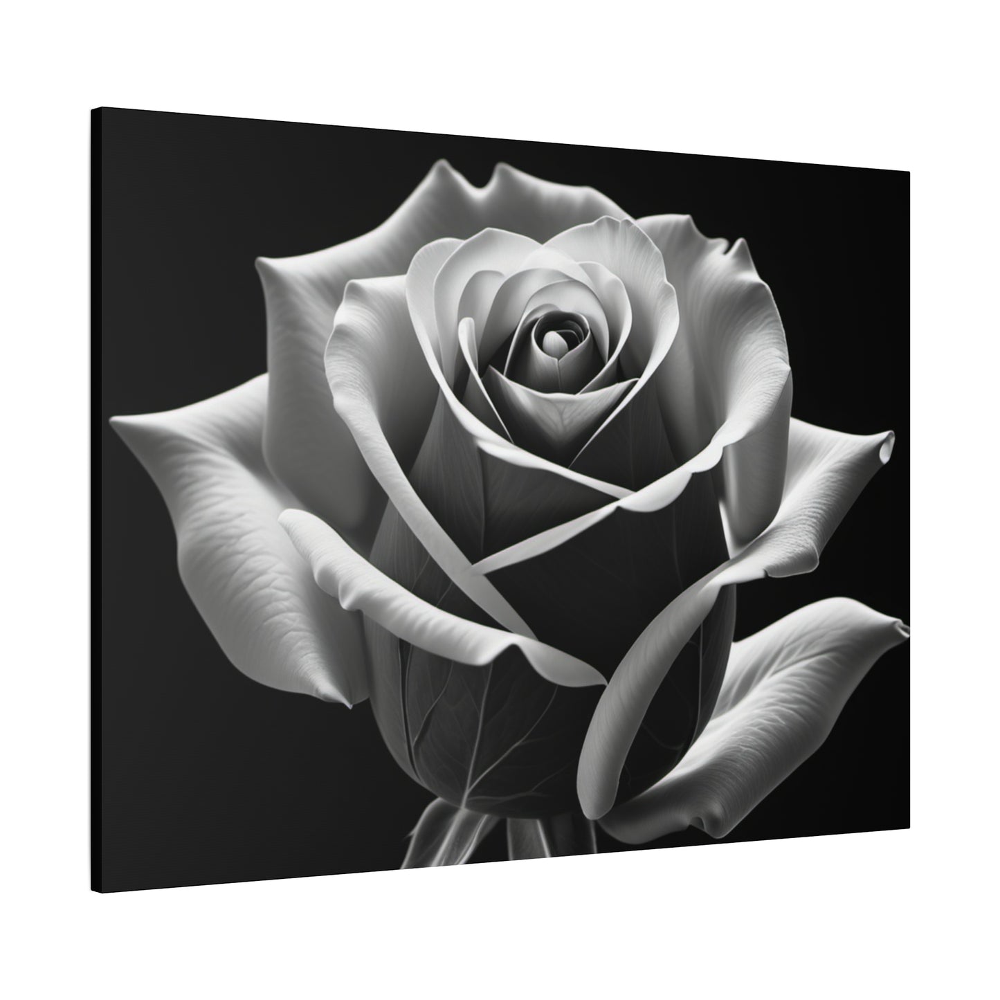 Elegant Black and White Rose Canvas Art