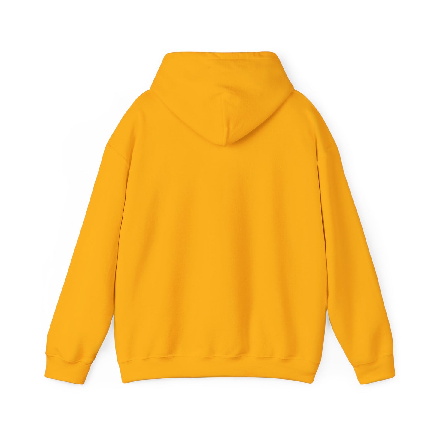 Mt. Abraham High Senior Class Trip Hoodie – Paris or Bust (…Mostly Bust)