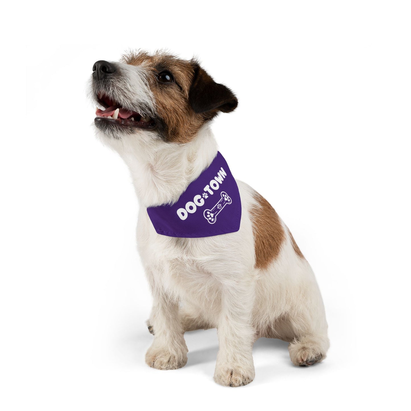 Dog Town Pet Bandana Collar β PGD Kids Dog Walker Accessory | Support Small Biz πΆπΌ