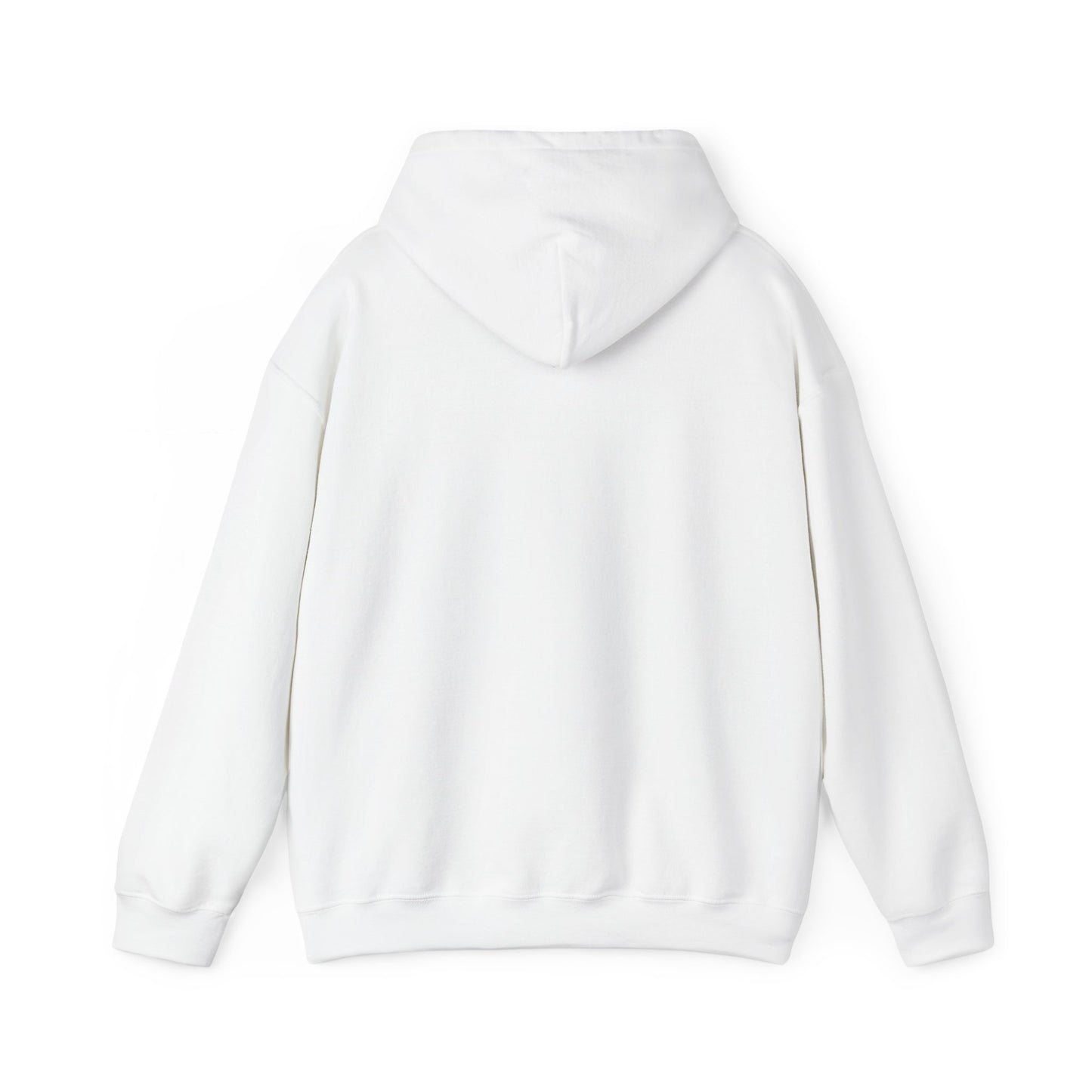 Mt. Abraham High Senior Class Trip Hoodie – Paris or Bust (…Mostly Bust)
