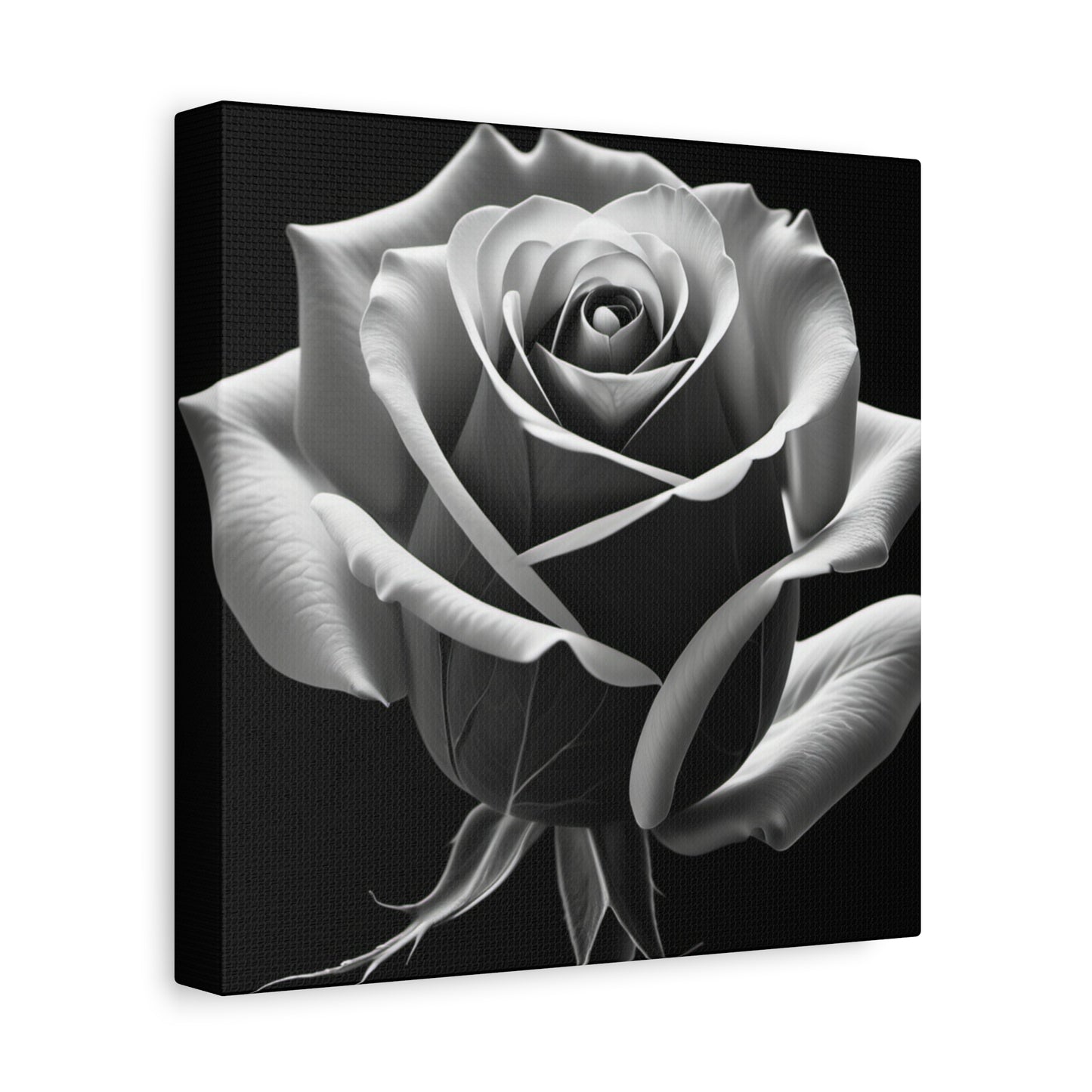 Elegant Black and White Rose Canvas Art