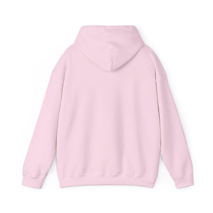 Mt. Abraham High Senior Class Trip Hoodie – Paris or Bust (…Mostly Bust)