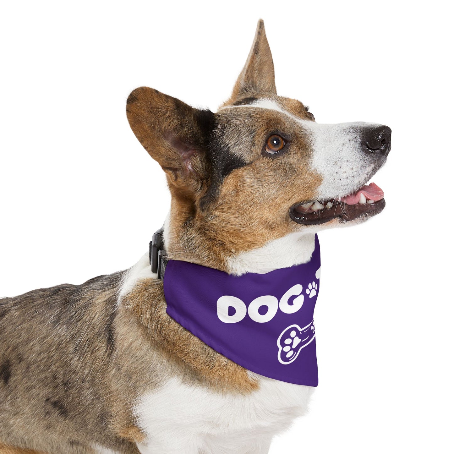 Dog Town Pet Bandana Collar – PGD Kids Dog Walker Accessory | Support Small Biz 🐶💼