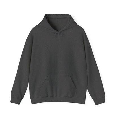 United States Air Force Hooded Sweatshirt – Soar in Style