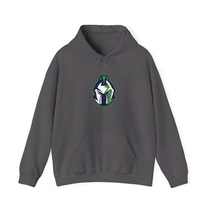 GNK Titans #1 Dad Hoodie