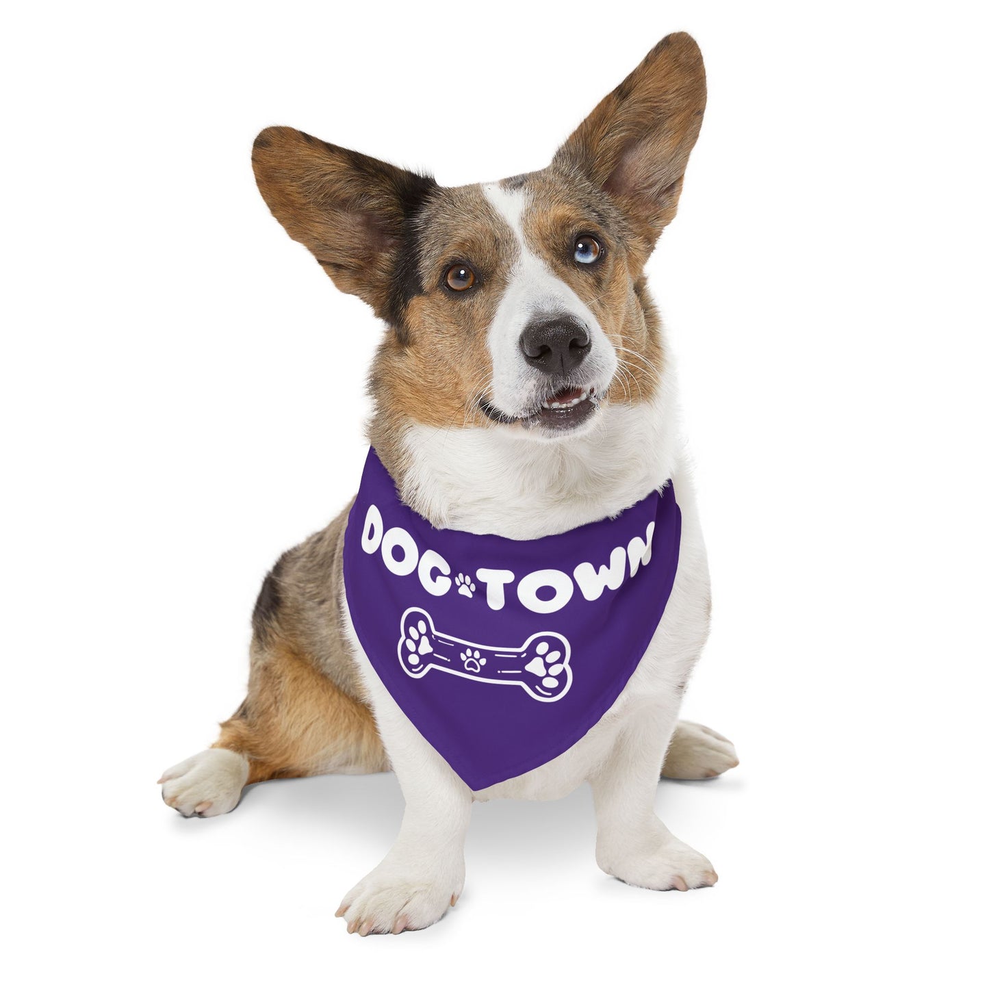 Dog Town Pet Bandana Collar – PGD Kids Dog Walker Accessory | Support Small Biz 🐶💼