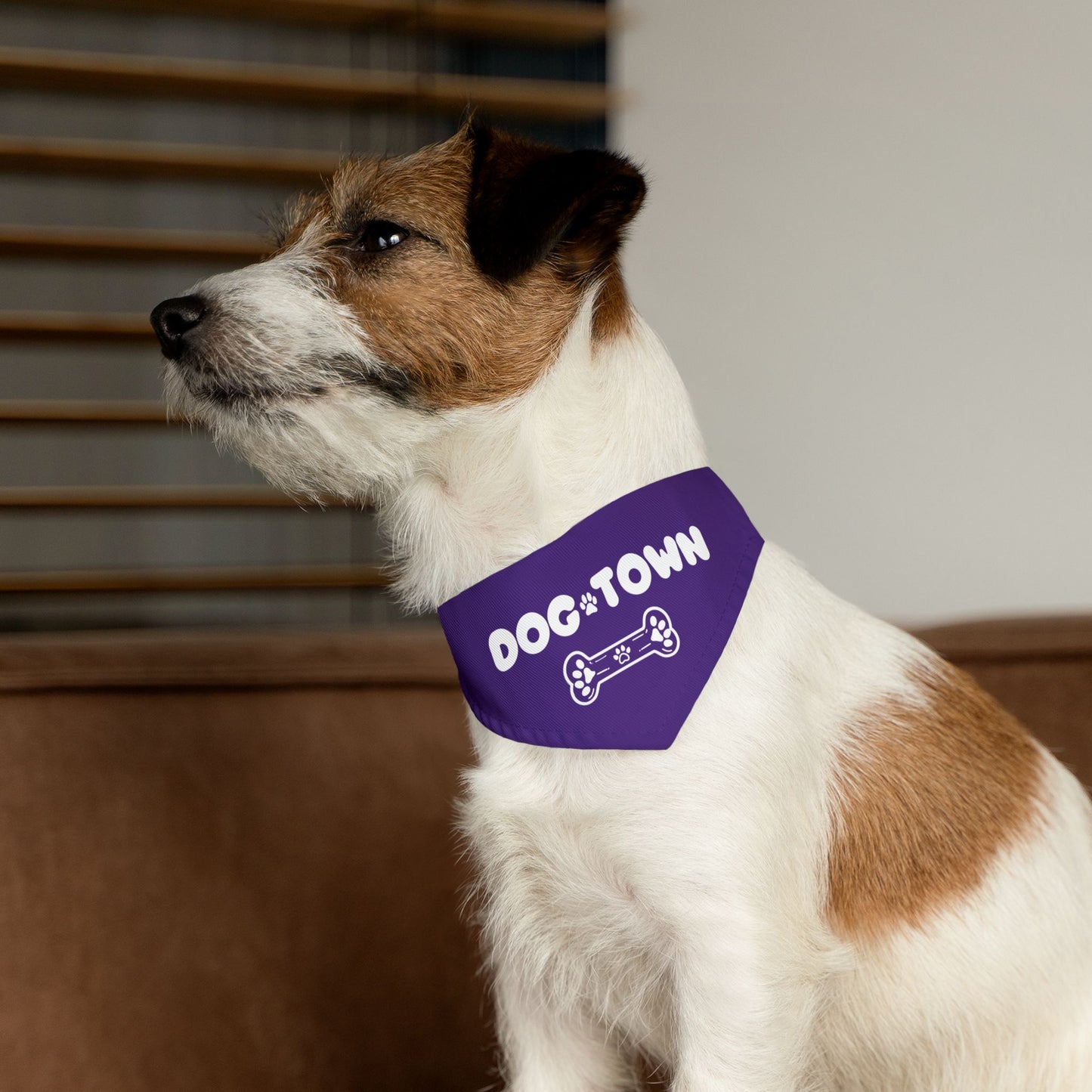 Dog Town Pet Bandana Collar – PGD Kids Dog Walker Accessory | Support Small Biz 🐶💼