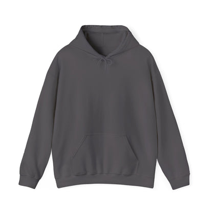 United States Air Force Hooded Sweatshirt – Soar in Style