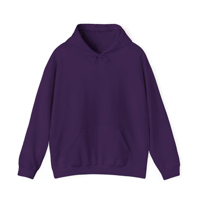 United States Air Force Hooded Sweatshirt – Soar in Style