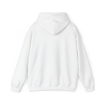 Mt. Abraham High Senior Class Trip Hoodie – Paris or Bust (…Mostly Bust)